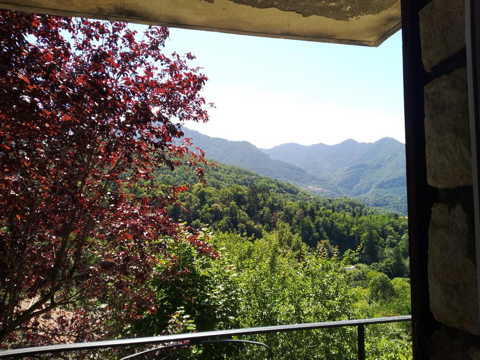 Apartamento Les Lauriers Roquebilliere Exterior foto